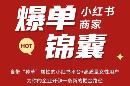 无畏·小红书商家爆单锦囊，掌握小红书各大规则，快速精准抢占行业和市场-连烟牍库