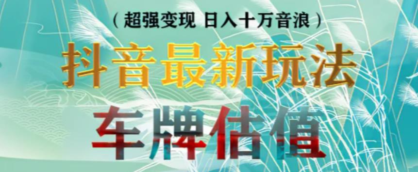 抖音最新无人直播变现直播车牌估值玩法项目，轻松日赚几百+【详细玩法教程】-连烟牍库