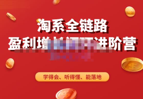 淘系全链路盈利增长闭环进阶营，融合全店动销，学得会、听得懂、能落地！-连烟牍库