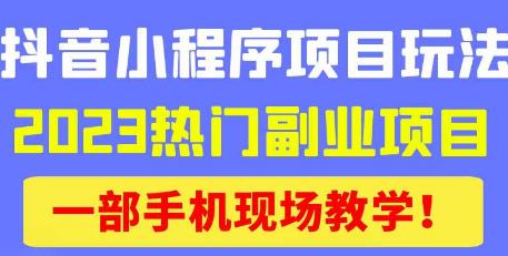 抖音小程序9.0新技巧，2023热门副业项目，动动手指轻松变现-连烟牍库