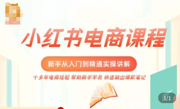 小红书电商新手入门到精通实操课，从入门到精通做爆款笔记，开店运营-连烟牍库
