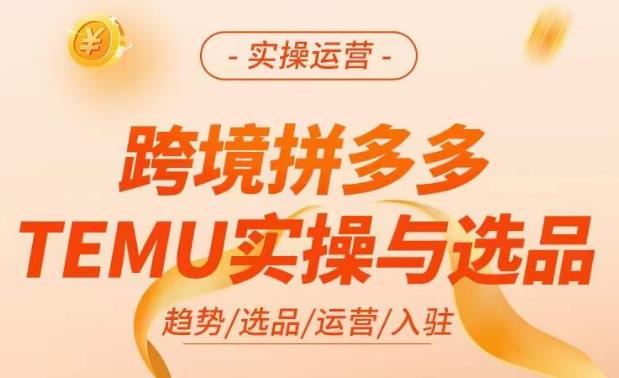 跨境拼多多TEMU实操与选品，​掌握平台运营方法技巧，选品避坑12条标准，爆款的底层思路等-连烟牍库