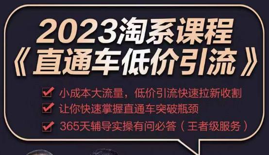 2023直通车低价引流玩法课程，小成本大流量，低价引流快速拉新收割，让你快速掌握直通车突破瓶颈-连烟牍库