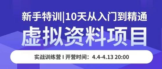 虚拟资料项目新手特训，10天从入门到精通，保姆级实操教学-连烟牍库