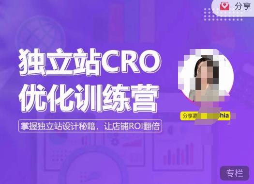 独立站CRO优化训练营，掌握独立站设计秘籍，打造高转化的独立站，让店铺ROI翻倍-连烟牍库