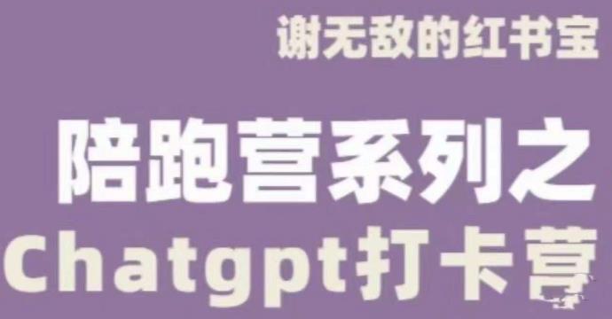 谢无敌ChatGPT打卡营，教你更好地使用ChatGPT来提高工作效率-连烟牍库