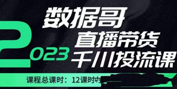 数据哥2023直播电商巨量千川付费投流实操课，快速掌握直播带货运营投放策略-连烟牍库