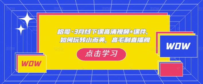 哈哥·3月线下实操课高清视频+课件，如何玩转小而美，高毛利直播间-连烟牍库