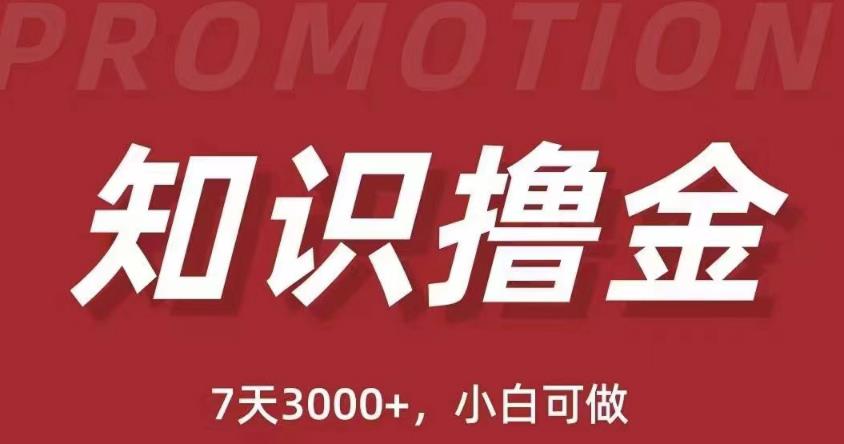抖音知识撸金项目：简单粗暴日入1000+执行力强当天见收益(教程+资料)-连烟牍库