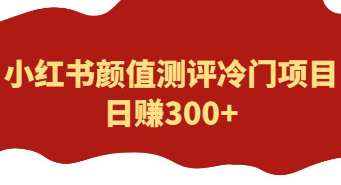 外面1980的项目，小红书颜值测评冷门项目，日赚300+【揭秘】-连烟牍库