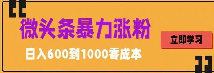 微头条暴力涨粉技巧搬运文案就能涨几万粉丝，简单0成本，日赚600【揭秘】-连烟牍库