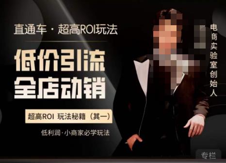 电商冰可乐·直通车·《低价引流·全店动销》，直通车·超高ROI玩法（其一）全店动销必学玩法-连烟牍库