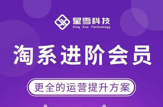 星雪·淘系进阶课程，快速提升突破技能流量瓶颈必备（更新2023年5月）-连烟牍库