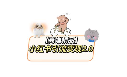 小红书最新引流变现教程，全网最新最详细的视频教程以及素材-连烟牍库