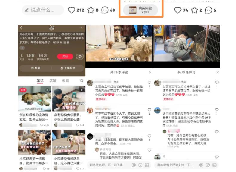小红书蓝海类赛道：小动物打赏与购买变现副业项目，一条龙玩法分享给你！-连烟牍库