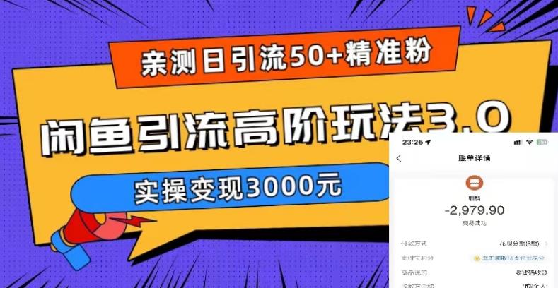亲测日引50+精准粉，闲鱼引流高阶玩法3.0，实操变现3000元【揭秘】-连烟牍库