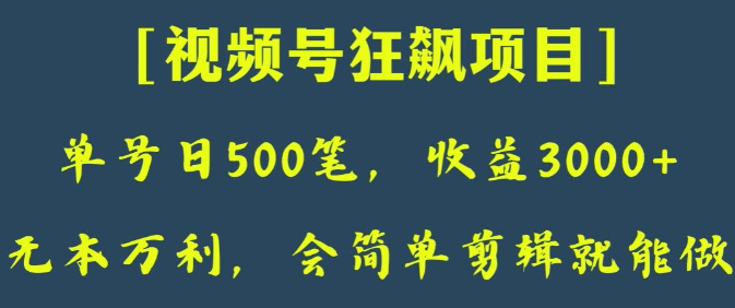 日收款500笔，纯利润3000+，视频号狂飙项目，会简单剪辑就能做【揭秘】-连烟牍库
