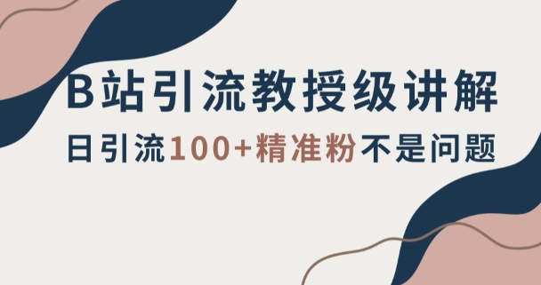 B站引流教授级讲解，细节满满，日引流100+精准粉不是问题【揭秘】-连烟牍库