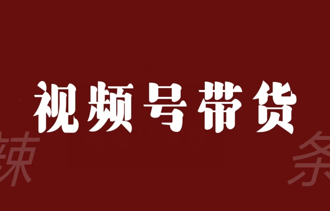 视频号带货联盟，赚信息差的带货钱，只需手机随时随地都可以做！-连烟牍库