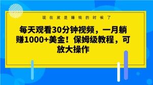 每天观看30分钟视频，一月躺赚1000+美金！保姆级教程，可放大操作【揭秘】-连烟牍库