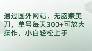 通过国外网站，无脑赚美刀，单号每天300+可放大操作，小白轻松上手【揭秘】-连烟牍库