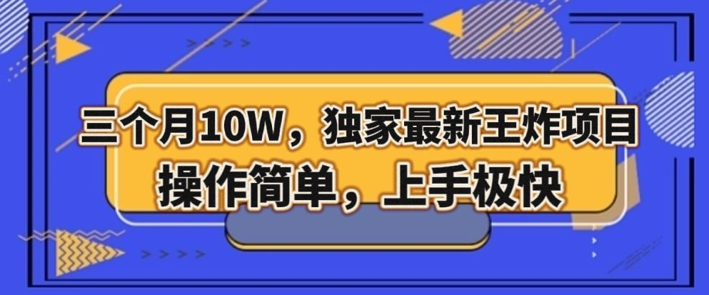 三个月10W，独家最新王炸项目！操作简单，上手极快【揭秘】-连烟牍库