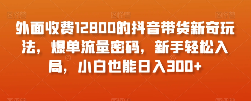 外面收费12800的抖音带货新奇玩法，爆单流量密码，新手轻松入局，小白也能日入300+【揭秘】-连烟牍库