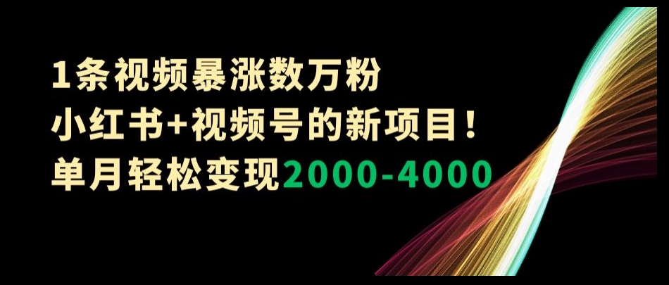1条视频暴涨数万粉–小红书+视频号的新项目！单月轻松变现2000-4000【揭秘】-连烟牍库