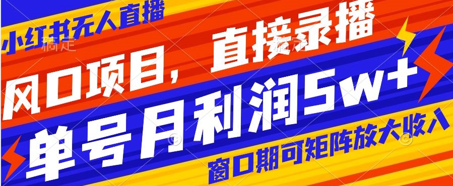 风口项目，小红书无人直播带货，直接录播，可矩阵，月入5w+【揭秘】-连烟牍库