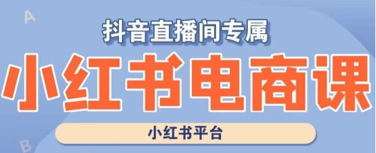 小红书电商高级运营课程，实操教学+案例分析-连烟牍库