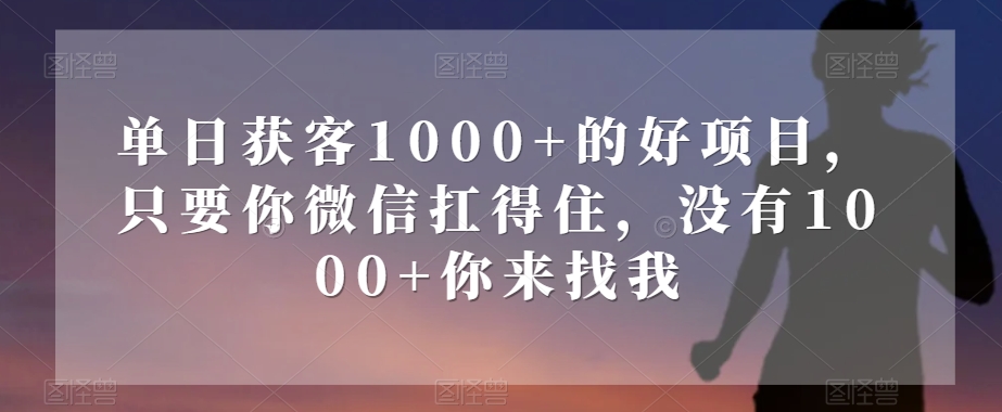 单日获客1000+的好项目，只要你微信扛得住，没有1000+你来找我【揭秘】-连烟牍库