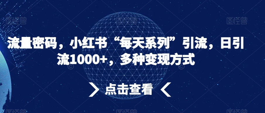 流量密码，小红书“每天系列”引流，日引流1000+，多种变现方式【揭秘】-连烟牍库