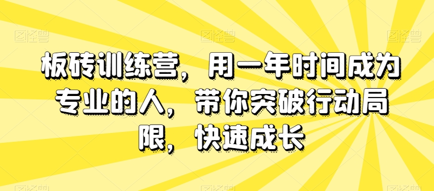 板砖训练营，用一年时间成为专业的人，带你突破行动局限，快速成长-连烟牍库