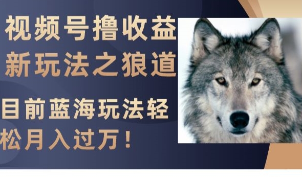 视频号撸收益新玩法之狼道，目前蓝海玩法，轻松月入过万【揭秘】-连烟牍库