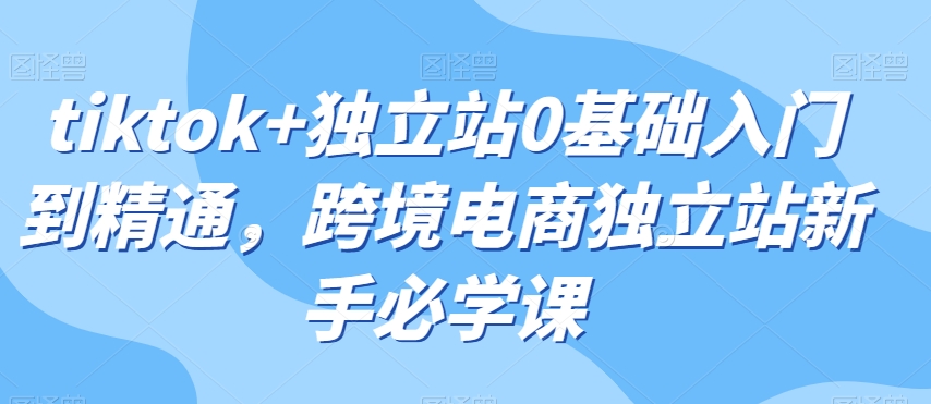 tiktok+独立站0基础入门到精通，跨境电商独立站新手必学课-连烟牍库