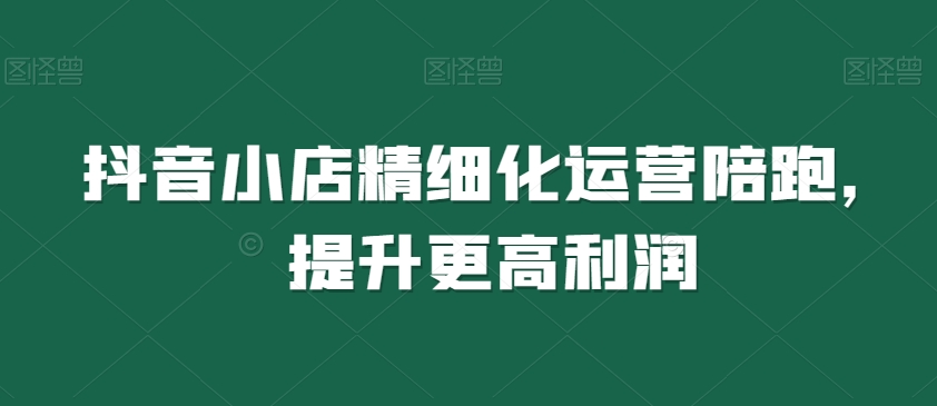 抖音小店精细化运营陪跑，提升更高利润-连烟牍库