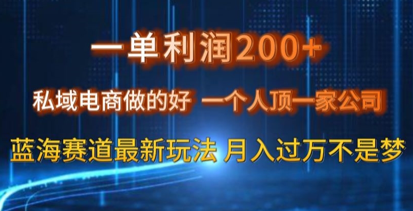一单利润200私域电商做的好，一个人顶一家公司蓝海赛道最新玩法【揭秘】-连烟牍库