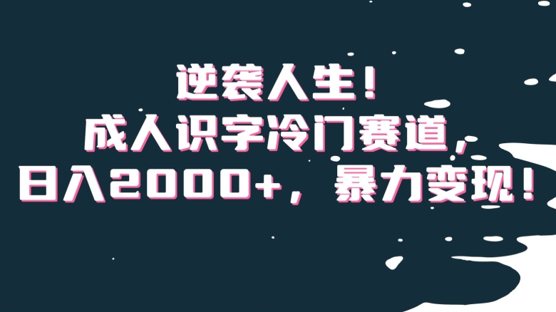 逆袭人生！成人识字冷门赛道，日入2000+，暴力变现！【揭秘】-连烟牍库