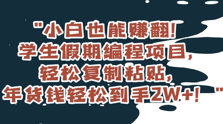 小白也能赚翻！学生假期编程项目，轻松复制粘贴，年货钱轻松到手2W+【揭秘】-连烟牍库