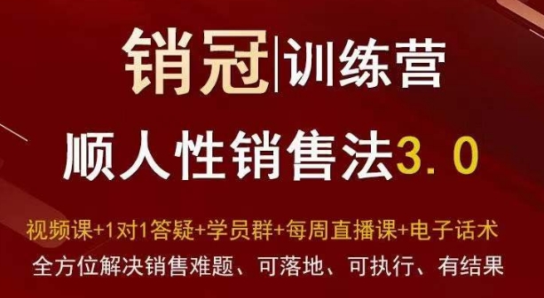 爆款！销冠训练营3.0之顺人性销售法，全方位解决销售难题、可落地、可执行、有结果-连烟牍库
