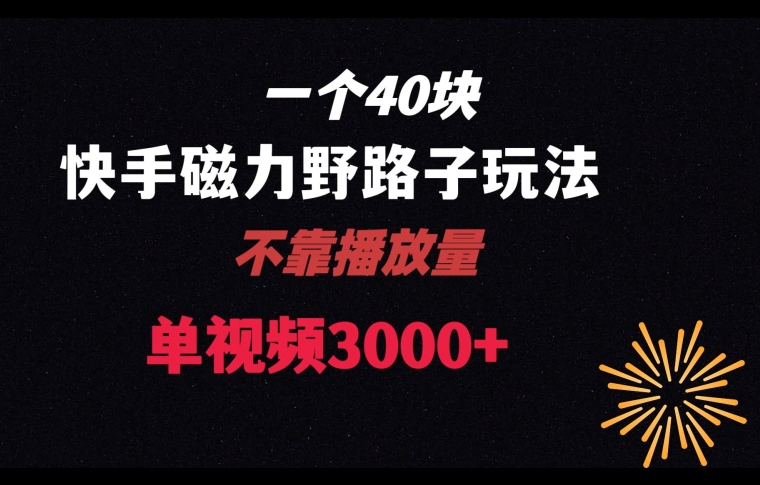 一个40块，快手联合美团磁力新玩法，无视机制野路子玩法，单视频收益4位数【揭秘】-连烟牍库