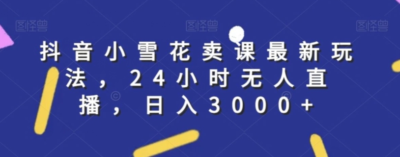 抖音小雪花卖课最新玩法，24小时无人直播，日入3000+【揭秘】-连烟牍库