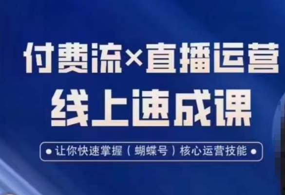视频号付费流实操课程，付费流✖️直播运营速成课，让你快速掌握视频号核心运营技能-连烟牍库