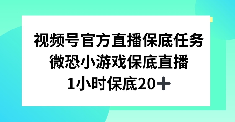 视频号直播任务，微恐小游戏，1小时20+【揭秘】-连烟牍库