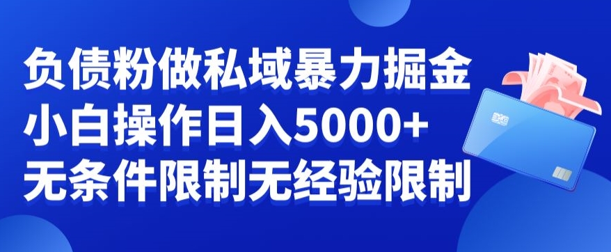 负债粉私域暴力掘金，小白操作入5000，无经验限制，无条件限制【揭秘】-连烟牍库