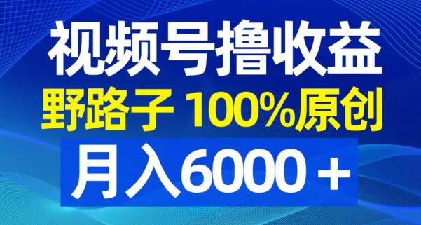 视频号野路子撸收益，100%原创，条条爆款，月入6000＋【揭秘】-连烟牍库