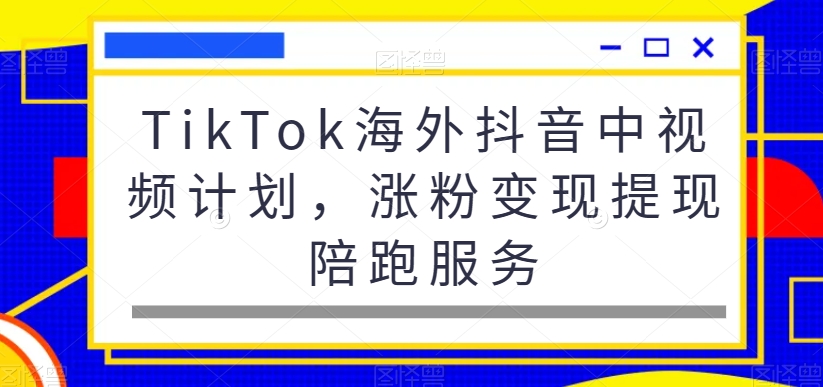 TikTok海外抖音中视频计划，涨粉变现提现陪跑服务-连烟牍库
