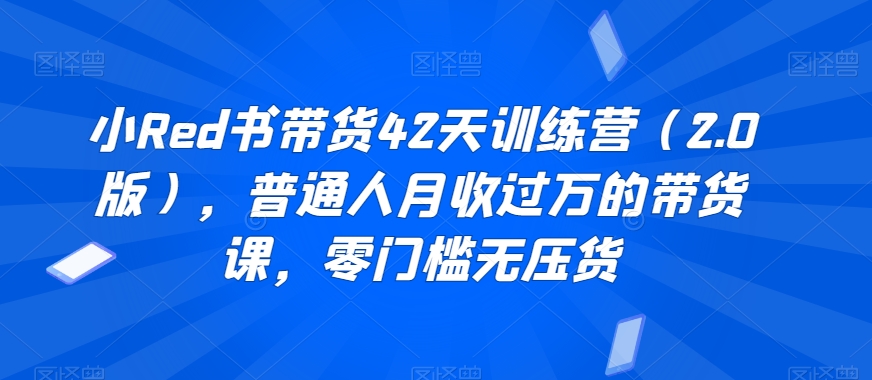 小Red书带货42天训练营（2.0版），普通人月收过万的带货课，零门槛无压货-连烟牍库