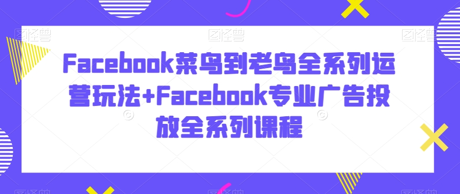 Facebook菜鸟到老鸟全系列运营玩法+Facebook专业广告投放全系列课程-连烟牍库