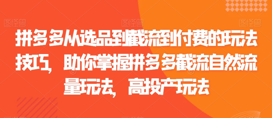 拼多多从选品到截流到付费的玩法技巧，助你掌握拼多多截流自然流量玩法，高投产玩法-连烟牍库